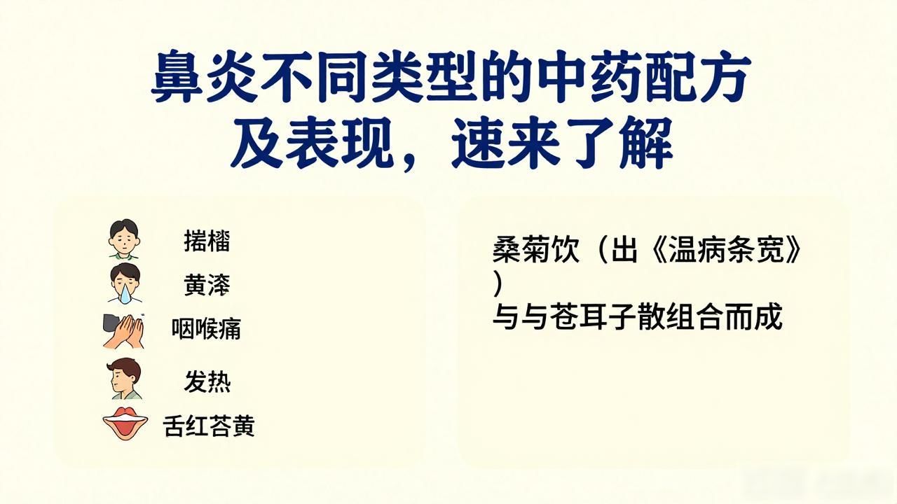 鼻炎不同类型的中药配方及表现,速来了解