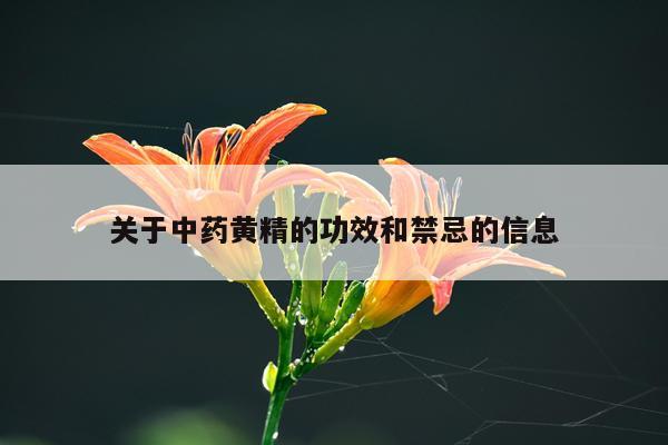 关于中药黄精的功效和禁忌的信息