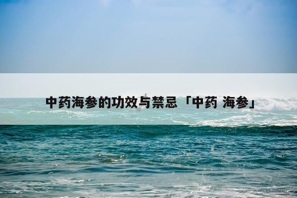 中药海参的功效与禁忌「中药 海参」