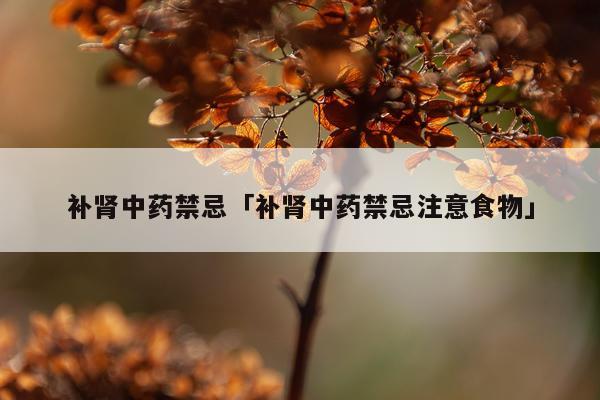 补肾中药禁忌「补肾中药禁忌注意食物」