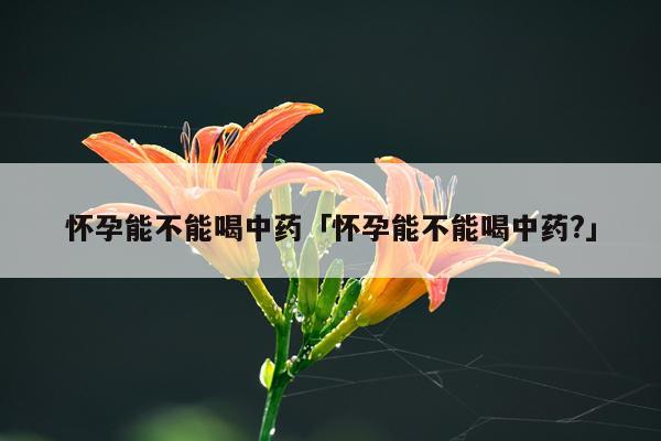 怀孕能不能喝中药「怀孕能不能喝中药?」