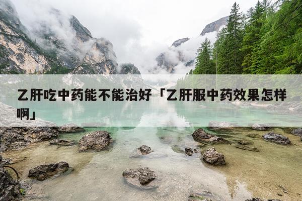 乙肝吃中药能不能治好「乙肝服中药效果怎样啊」