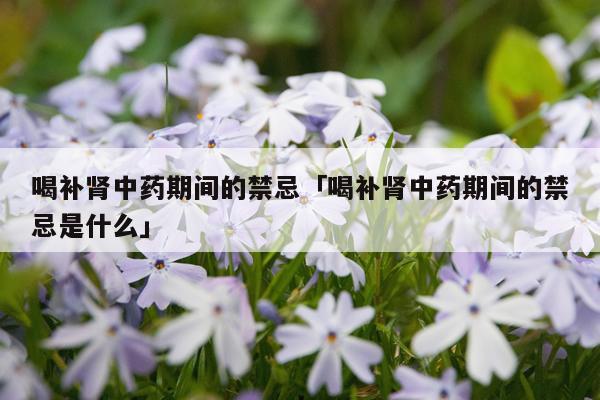 喝补肾中药期间的禁忌「喝补肾中药期间的禁忌是什么」
