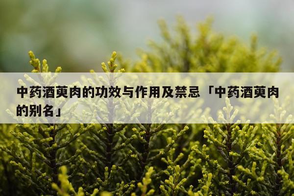 中药酒萸肉的功效与作用及禁忌「中药酒萸肉的别名」