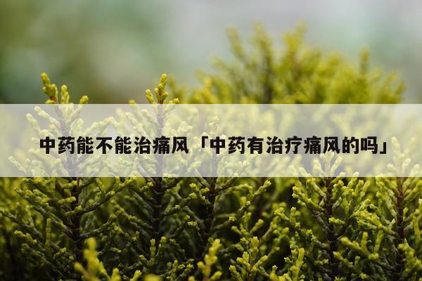 中药能不能治痛风「中药有治疗痛风的吗」