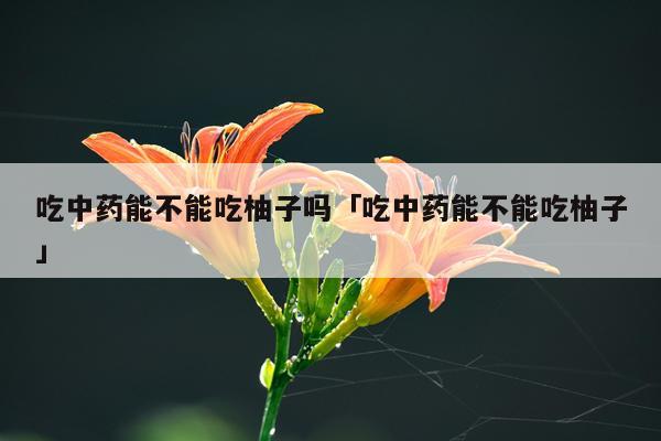 吃中药能不能吃柚子吗「吃中药能不能吃柚子」