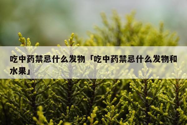 吃中药禁忌什么发物「吃中药禁忌什么发物和水果」