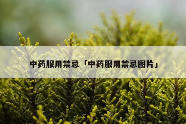 中药服用禁忌「中药服用禁忌图片」