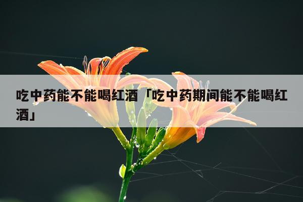 吃中药能不能喝红酒「吃中药期间能不能喝红酒」