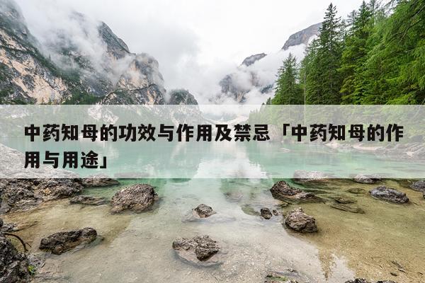 中药知母的功效与作用及禁忌「中药知母的作用与用途」