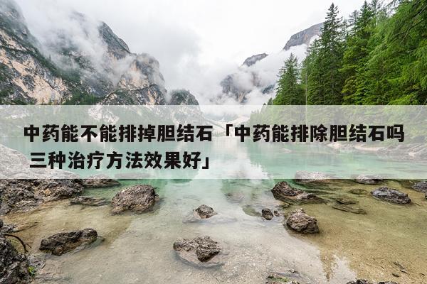 中药能不能排掉胆结石「中药能排除胆结石吗 三种治疗方法效果好」