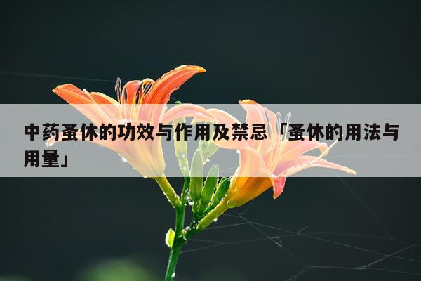 中药蚤休的功效与作用及禁忌「蚤休的用法与用量」