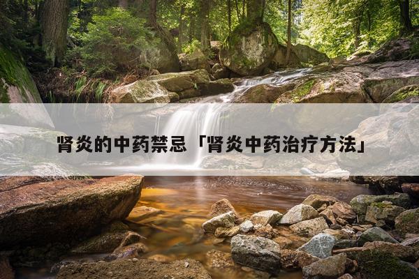 肾炎的中药禁忌「肾炎中药治疗方法」