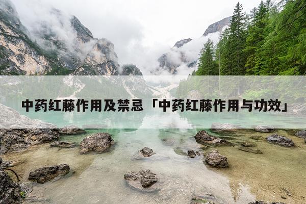 中药红藤作用及禁忌「中药红藤作用与功效」