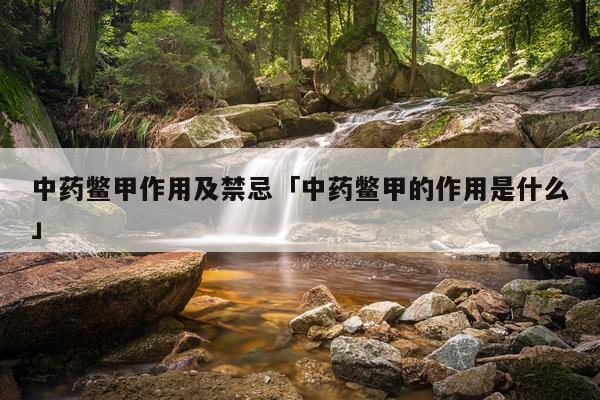 中药鳖甲作用及禁忌「中药鳖甲的作用是什么」