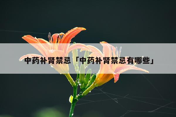 中药补肾禁忌「中药补肾禁忌有哪些」