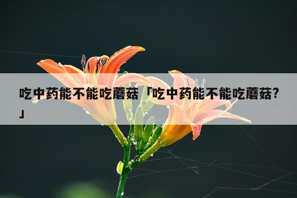 吃中药能不能吃蘑菇「吃中药能不能吃蘑菇?」