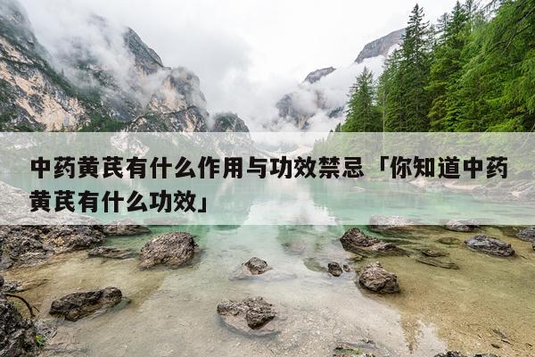 中药黄芪有什么作用与功效禁忌「你知道中药黄芪有什么功效」