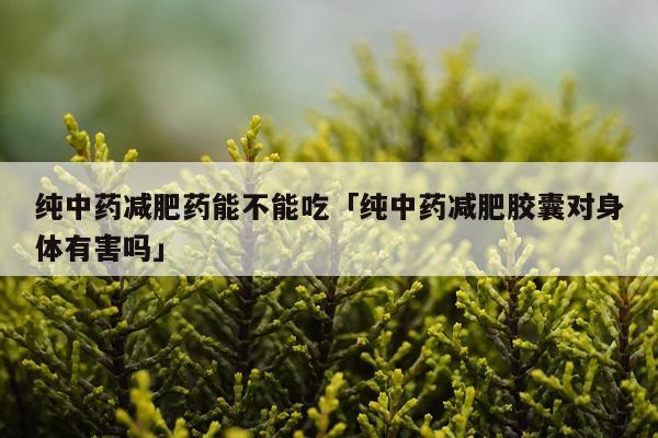纯中药减肥药能不能吃「纯中药减肥胶囊对身体有害吗」