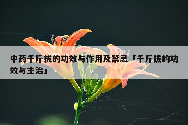 中药千斤拔的功效与作用及禁忌「千斤拔的功效与主治」