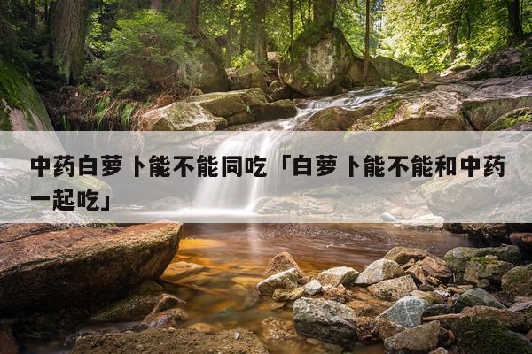中药白萝卜能不能同吃「白萝卜能不能和中药一起吃」