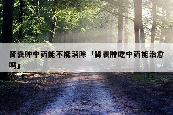 肾囊肿中药能不能消除「肾囊肿吃中药能治愈吗」