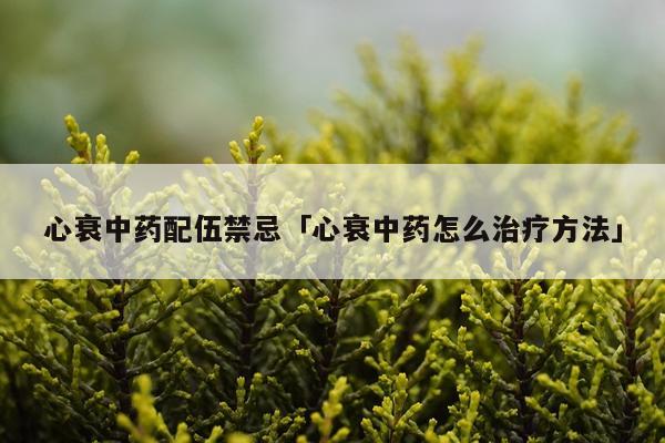 心衰中药配伍禁忌「心衰中药怎么治疗方法」