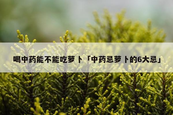 喝中药能不能吃萝卜「中药忌萝卜的6大忌」