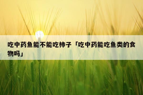吃中药鱼能不能吃柿子「吃中药能吃鱼类的食物吗」