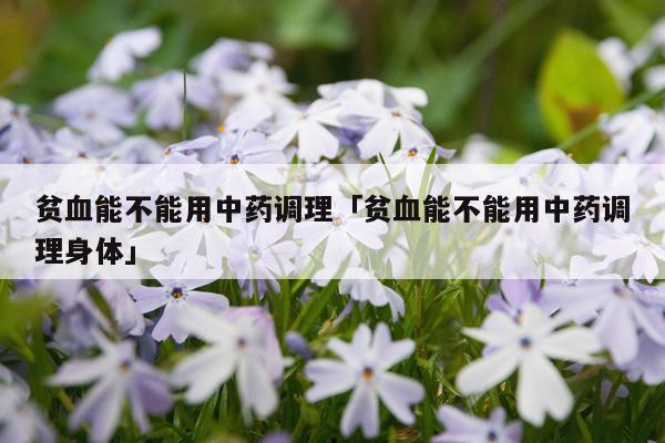 贫血能不能用中药调理「贫血能不能用中药调理身体」