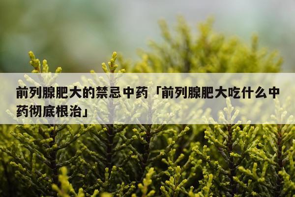 前列腺肥大的禁忌中药「前列腺肥大吃什么中药彻底根治」