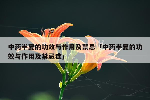 中药半夏的功效与作用及禁忌「中药半夏的功效与作用及禁忌症」