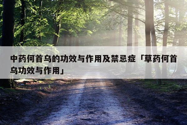 中药何首乌的功效与作用及禁忌症「草药何首乌功效与作用」