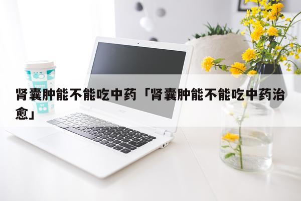肾囊肿能不能吃中药「肾囊肿能不能吃中药治愈」