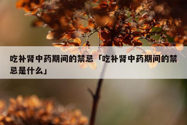 吃补肾中药期间的禁忌「吃补肾中药期间的禁忌是什么」