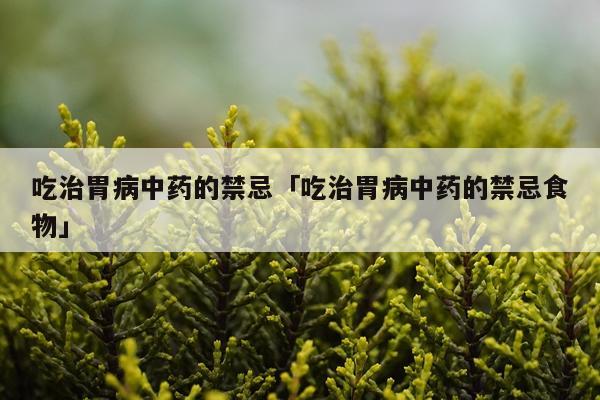 吃治胃病中药的禁忌「吃治胃病中药的禁忌食物」