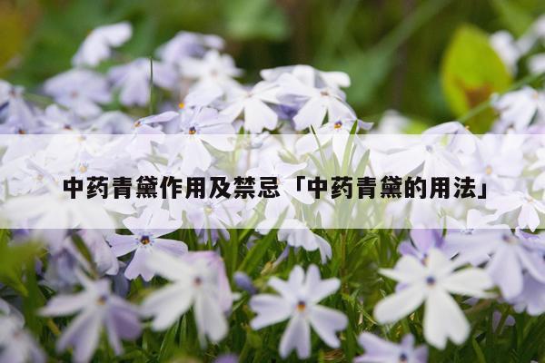 中药青黛作用及禁忌「中药青黛的用法」