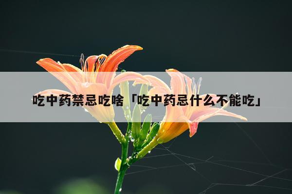 吃中药禁忌吃啥「吃中药忌什么不能吃」
