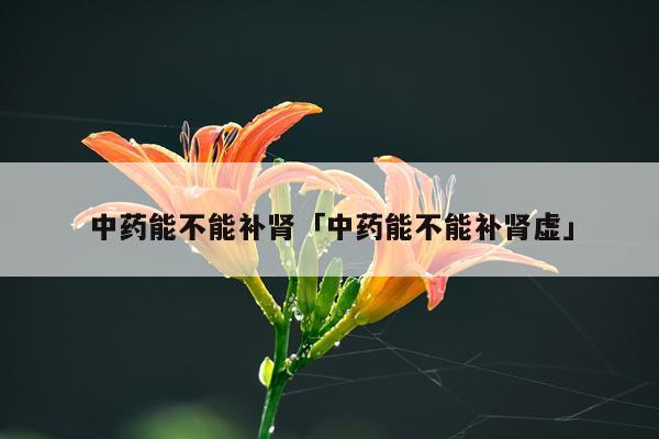 中药能不能补肾「中药能不能补肾虚」