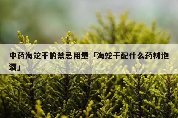 中药海蛇干的禁忌用量「海蛇干配什么药材泡酒」