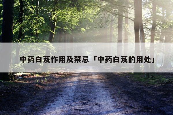 中药白芨作用及禁忌「中药白芨的用处」