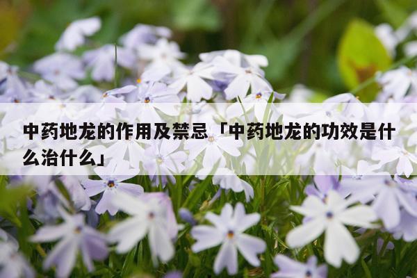 中药地龙的作用及禁忌「中药地龙的功效是什么治什么」