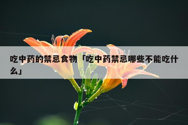 吃中药的禁忌食物「吃中药禁忌哪些不能吃什么」