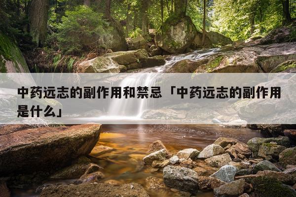 中药远志的副作用和禁忌「中药远志的副作用是什么」