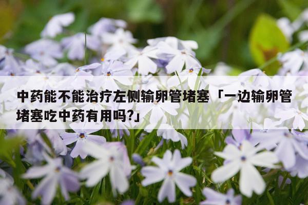 中药能不能治疗左侧输卵管堵塞「一边输卵管堵塞吃中药有用吗?」