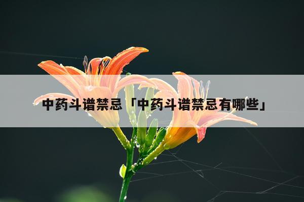 中药斗谱禁忌「中药斗谱禁忌有哪些」