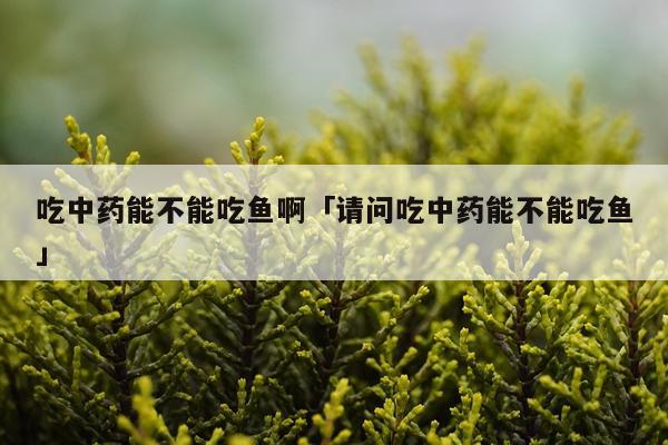 吃中药能不能吃鱼啊「请问吃中药能不能吃鱼」
