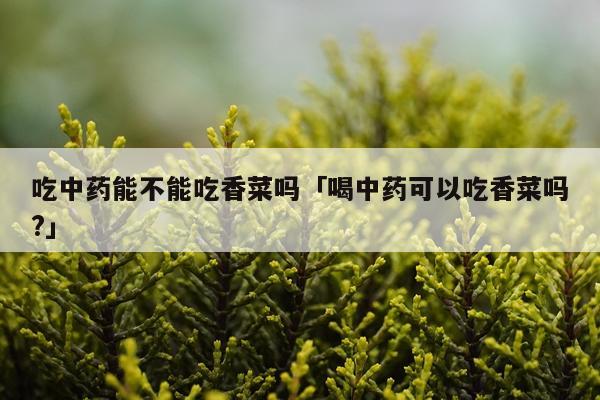 吃中药能不能吃香菜吗「喝中药可以吃香菜吗?」