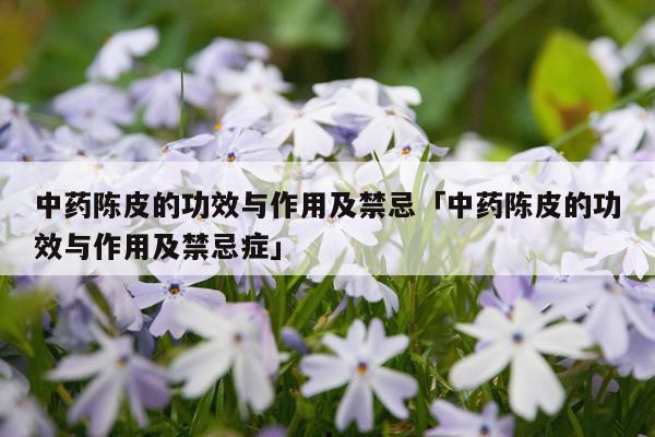 中药陈皮的功效与作用及禁忌「中药陈皮的功效与作用及禁忌症」