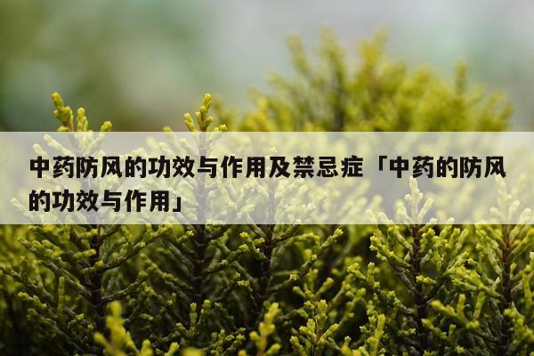 中药防风的功效与作用及禁忌症「中药的防风的功效与作用」
